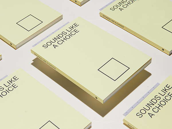 Sounds Like A Choice, 2018 (Abschlussarbeit, BA)